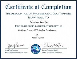 APDT Certificate in CPDT-KA Test Preparation Course