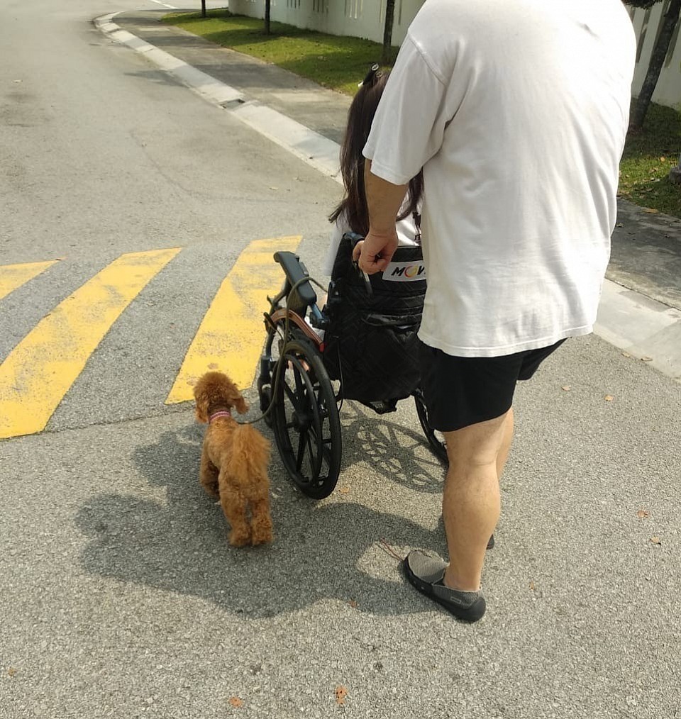 What is stopping you from educating your dog aside from excuses?