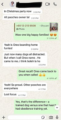 Oreo’s Owner: Feedback/ Review 6 months after!